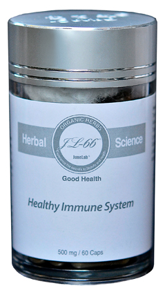 Healthy Immune System